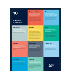 SCA Cupping Attributes Poster