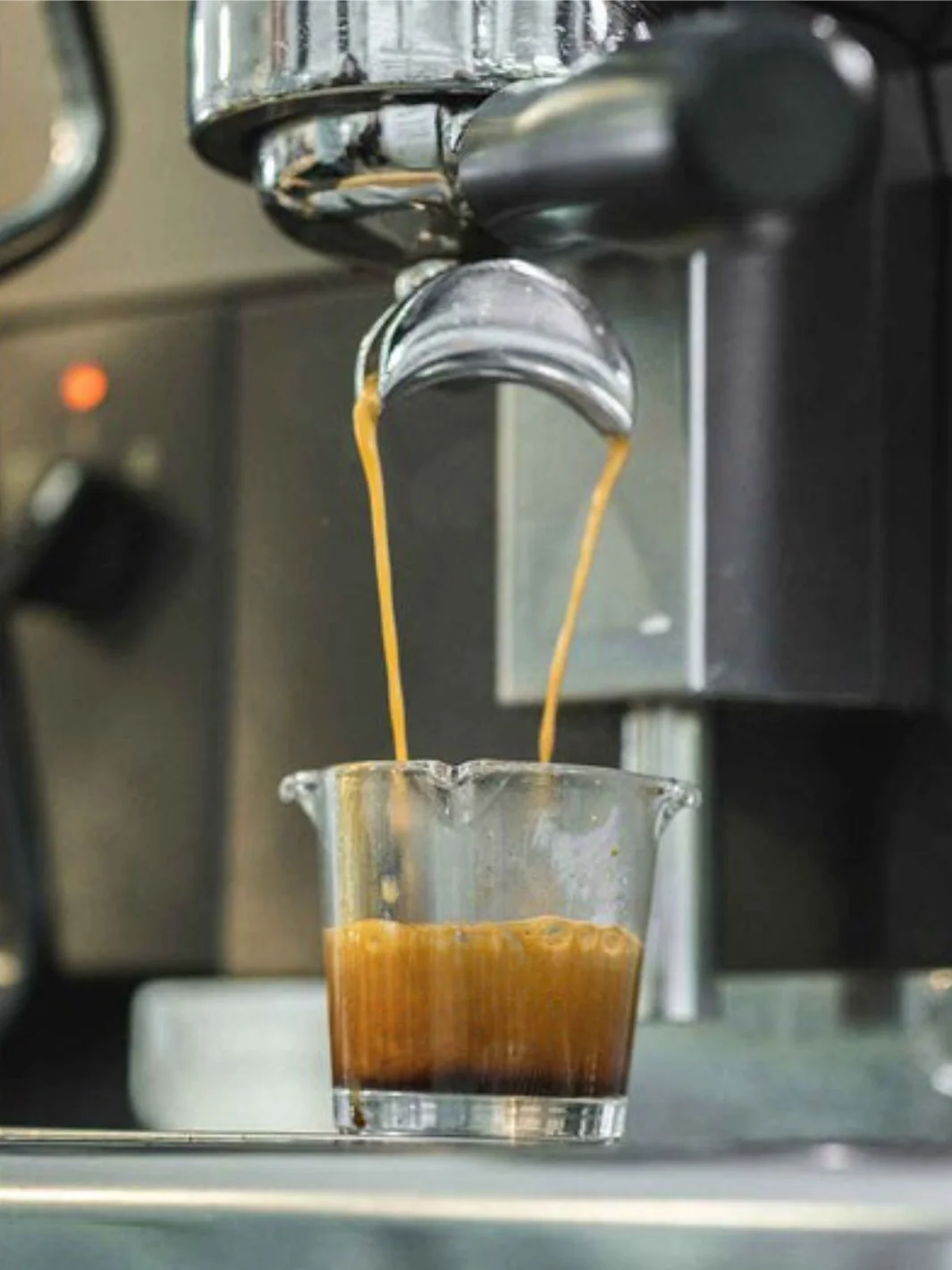 BARISTA BASICS Triple Spout Shot Glass (88.72ml/3oz) - Image 5