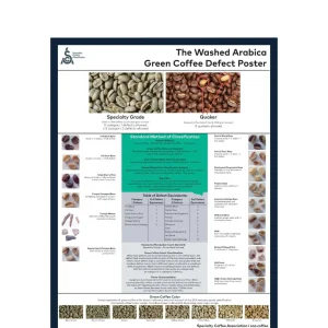 SCA Washed Arabica Green Coffee Defect Poster