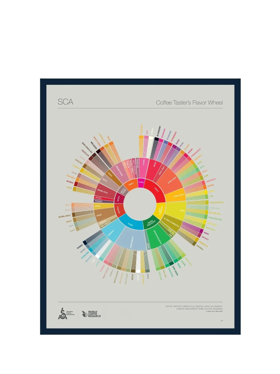 SCA The Coffee Taster's Flavour Wheel Poster