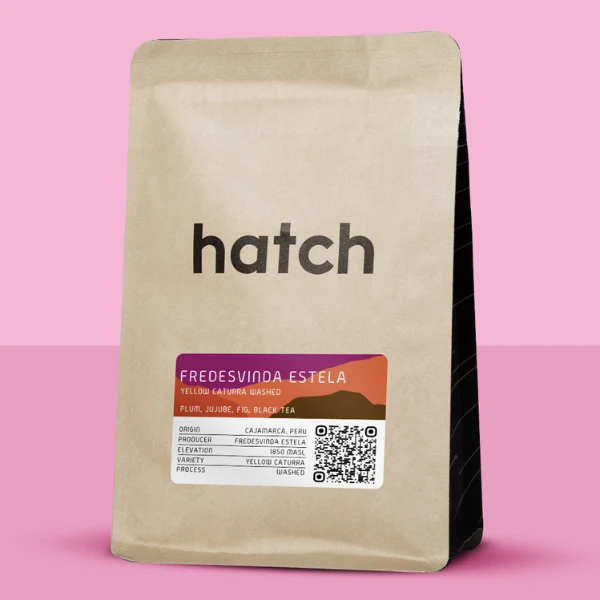 Hatch - Fredesvinda Estela