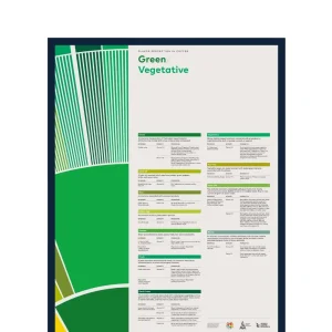 SCA Flavour Perception in Coffee Poster (Green/Vegetative)