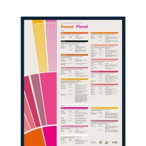 SCA Flavour Perception in Coffee Poster (Sweet/Floral)