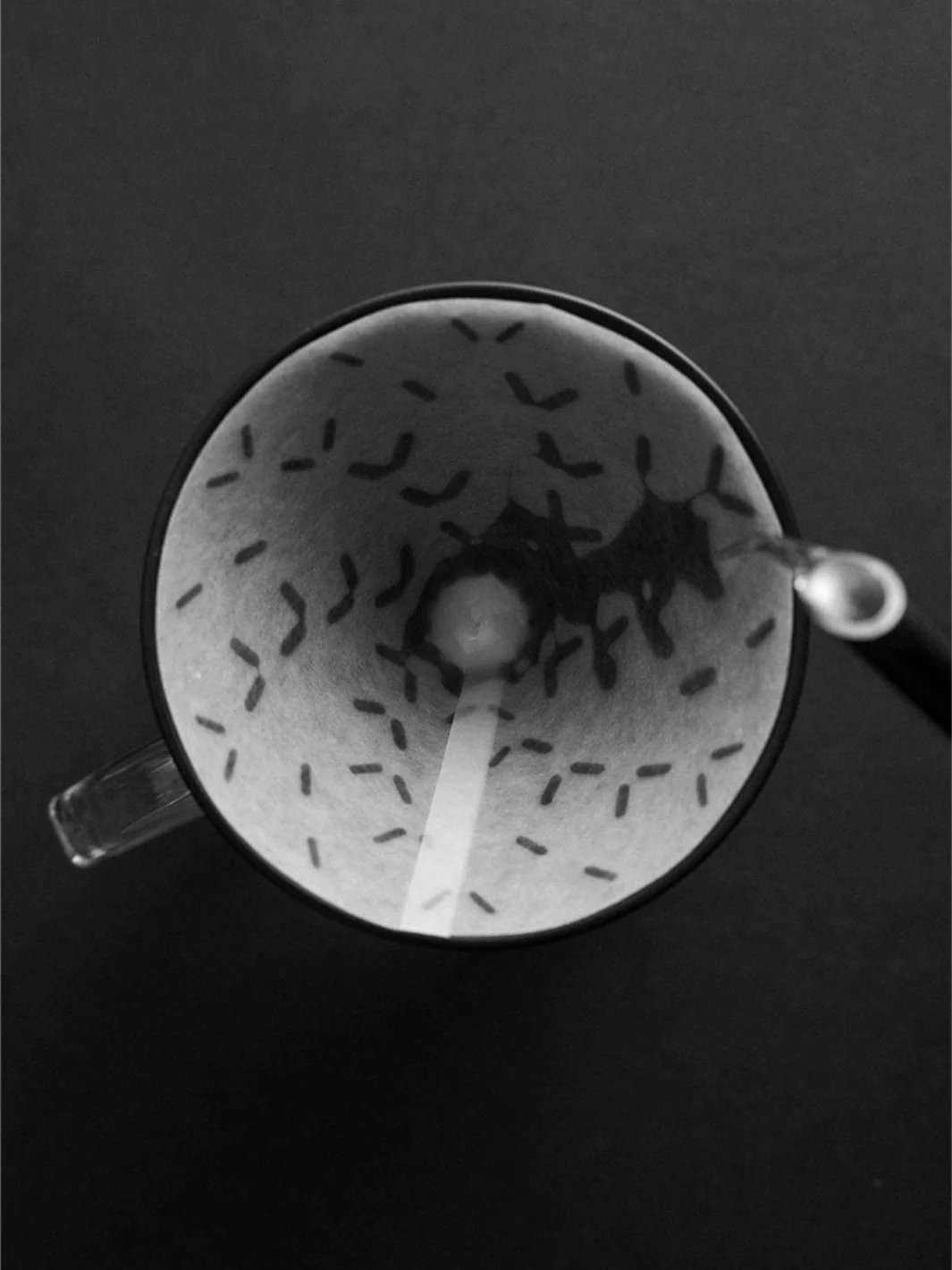 SIBARIST GRAYCANO Special Edition Coffee Filters - FAST / 25-Pack - Image 2