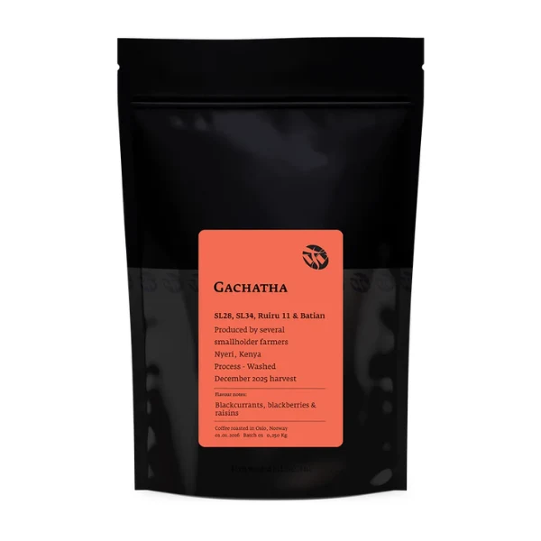 Tim Wendelboe - Gachatha