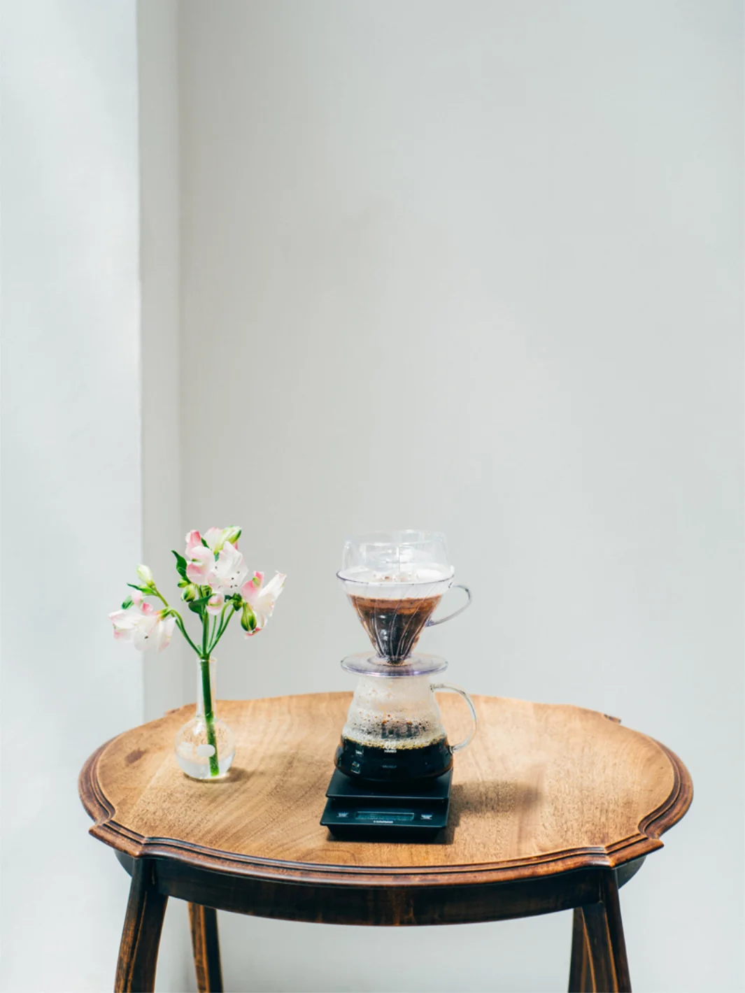 HARIO V60 Drip-Assist - Image 8