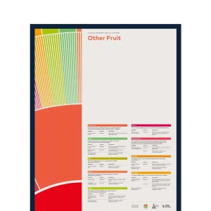 SCA Flavour Perception in Coffee Poster (Other Fruit)