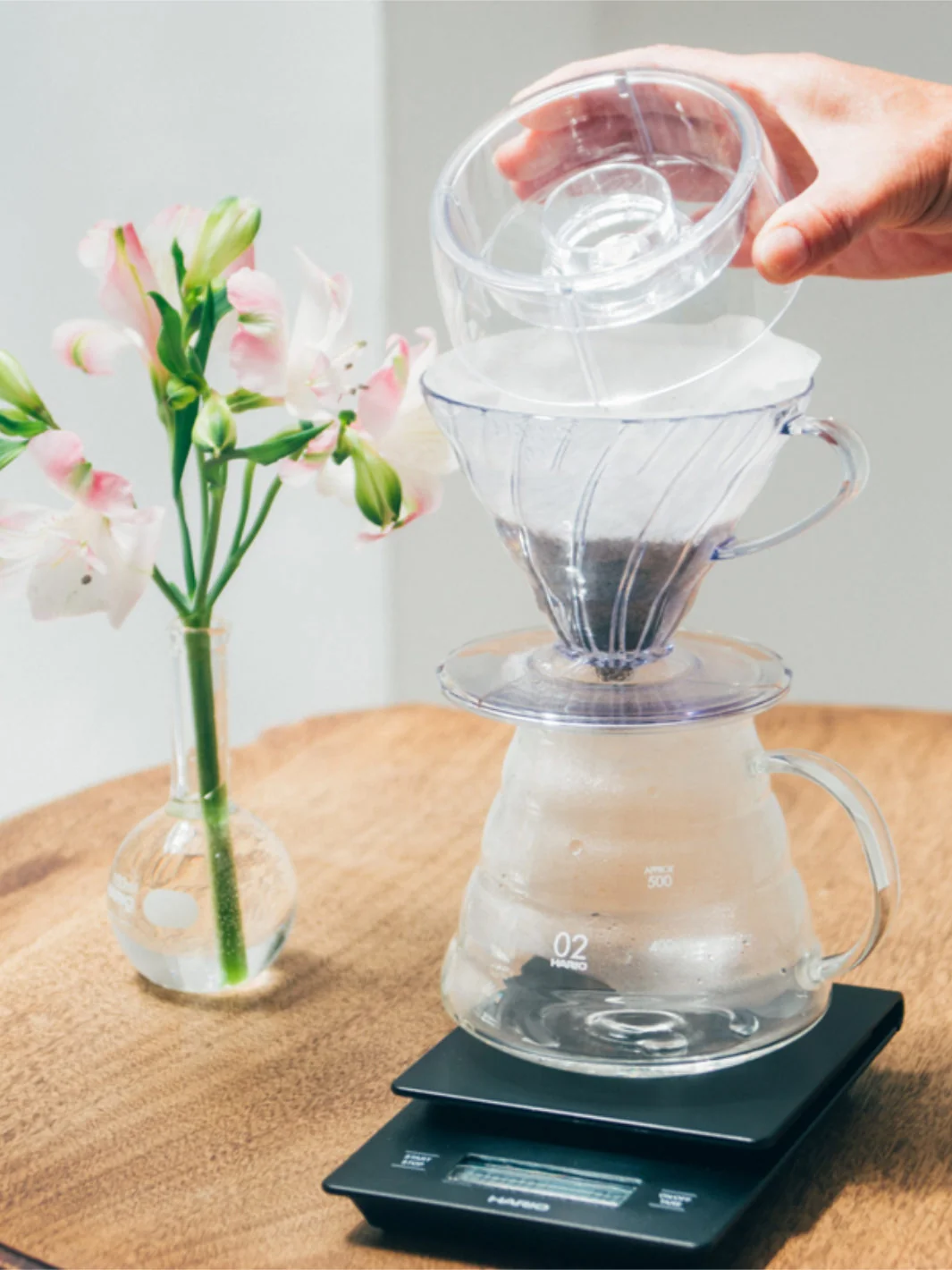 HARIO V60 Drip-Assist - Image 5